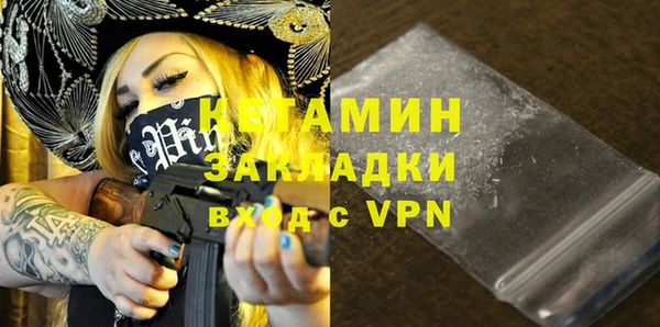 шишки Ленинск