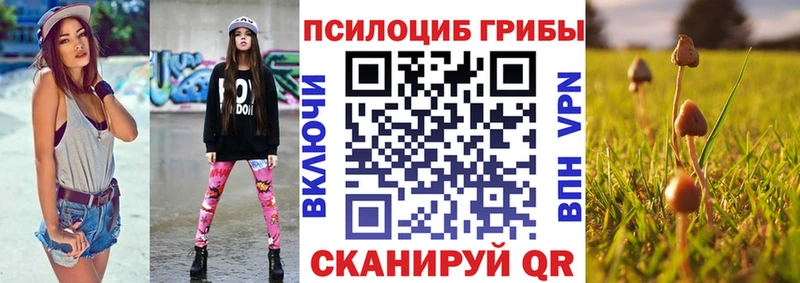 цена   Чухлома  blacksprut как зайти  Псилоцибиновые грибы мицелий 